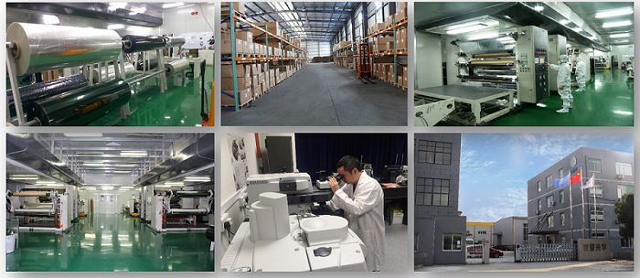 giới thiệu gswf